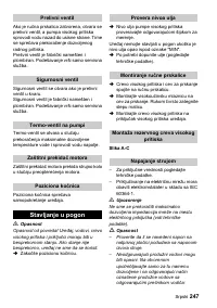 Страница 247