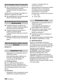 Страница 260