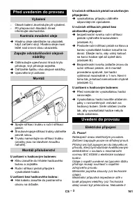 Страница 161