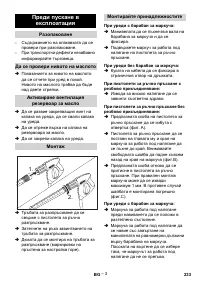 Страница 233