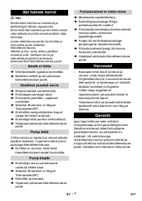 Страница 217