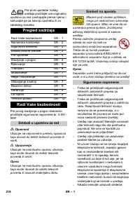 Страница 218