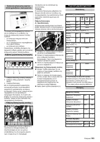 Страница 163