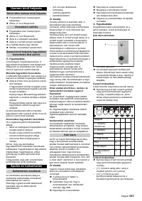 Страница 243