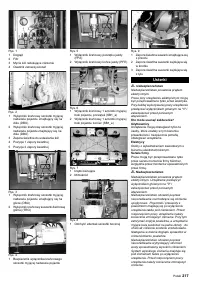 Страница 217