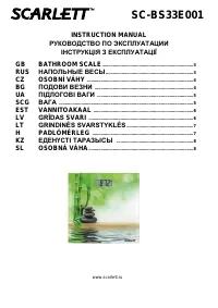 Scarlett SC-BS33E001