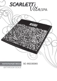 Scarlett SC-BS33E065