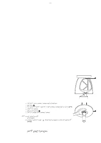 Страница 180