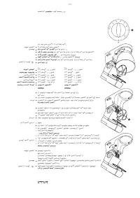 Страница 181