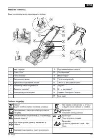 Страница 117