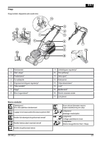 Страница 225
