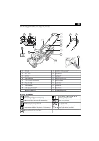 Страница 219