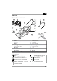Страница 233