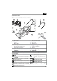Страница 331