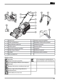 Страница 237