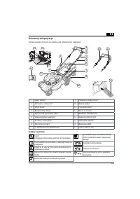Страница 163