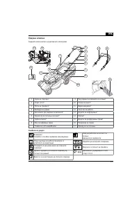 Страница 191