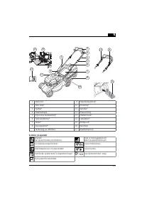 Страница 247