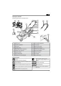 Страница 303