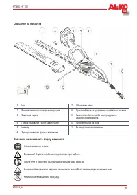 Страница 181