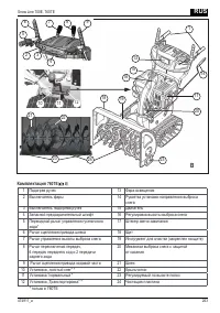 Страница 263