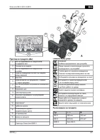 Страница 251