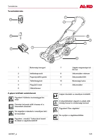 Страница 125