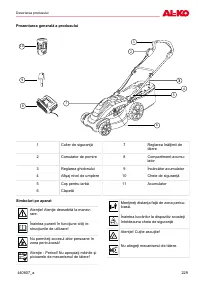 Страница 229