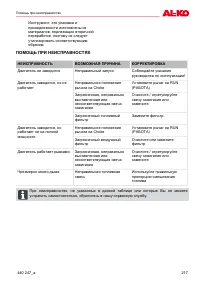 Страница 217