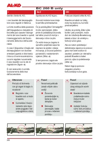 Страница 234