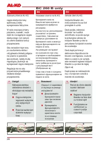 Страница 238