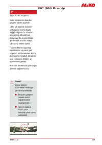 Страница 239