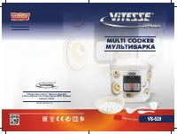 Vitesse VS-529