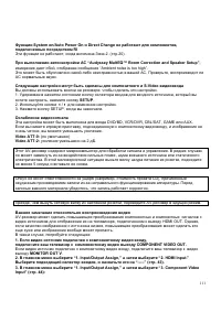 Страница 111