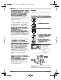 Страница 260