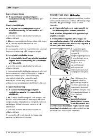 Страница 243