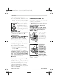 Страница 209