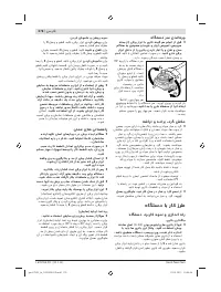 Страница 275