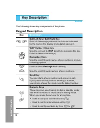 Страница 117