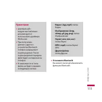 Страница 111