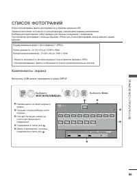 Страница 113