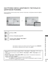 Страница 161