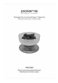 Polaris PKS 0305