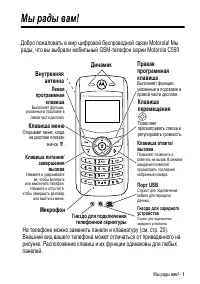 Motorola C550