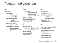 Страница 111