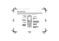 Motorola RAZR V3i DG