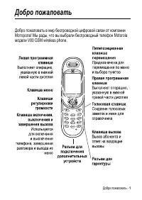 Motorola V80