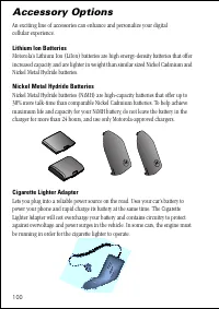 Страница 100