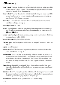 Страница 110