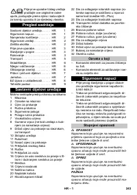 Страница 243